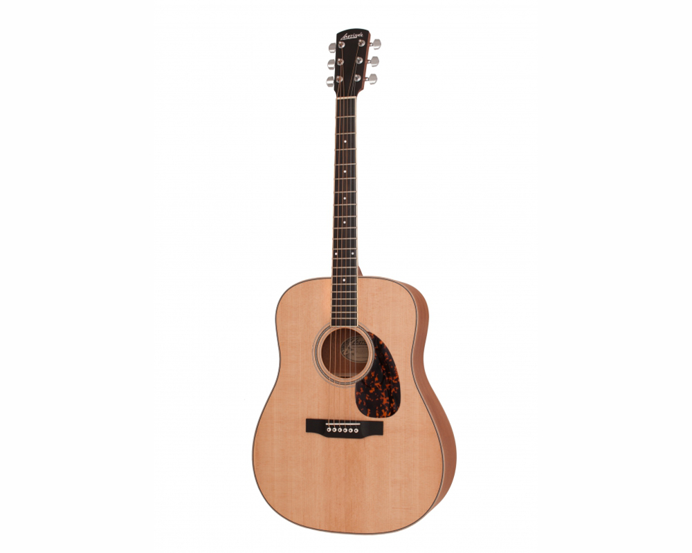 Larrivee D 03