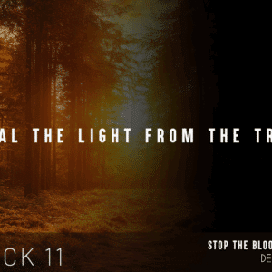 Steal the Light from the Trees